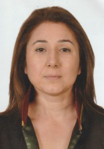 Avukat Pelin Haseki
