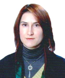 Avukat Tuğgen Gökayaz