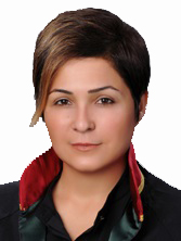 Avukat Suna Zor